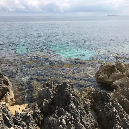 Ellie - 100m From The Carini