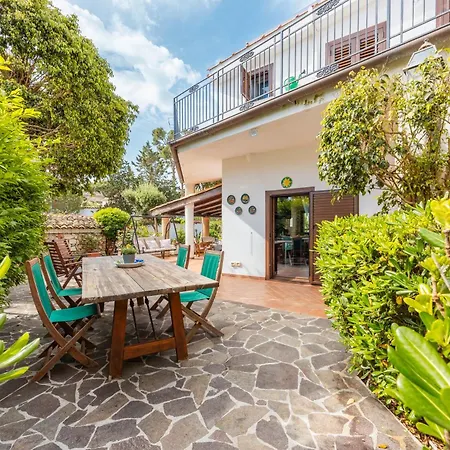 Ellie - 100m From The