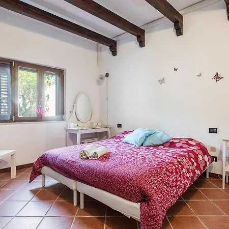 Ellie - 100m From The Carini